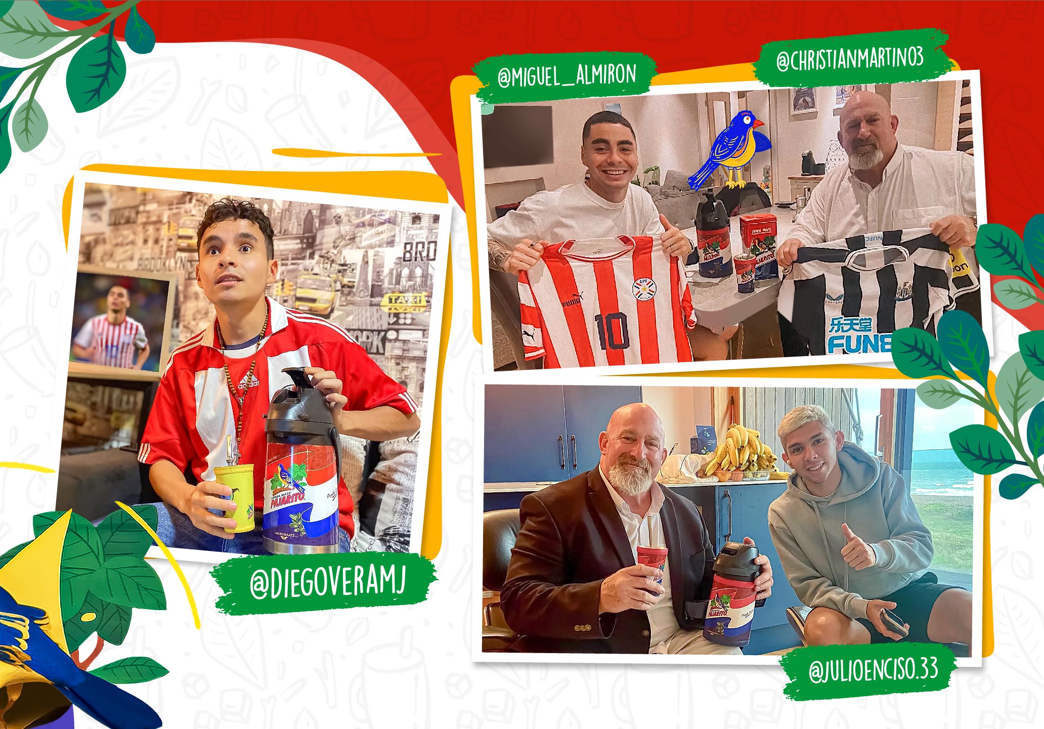 Pajarito-Web_Mesa-de-trabajo-1-copia-13